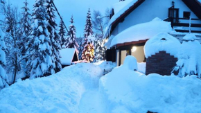Uki & Sofi mountain house